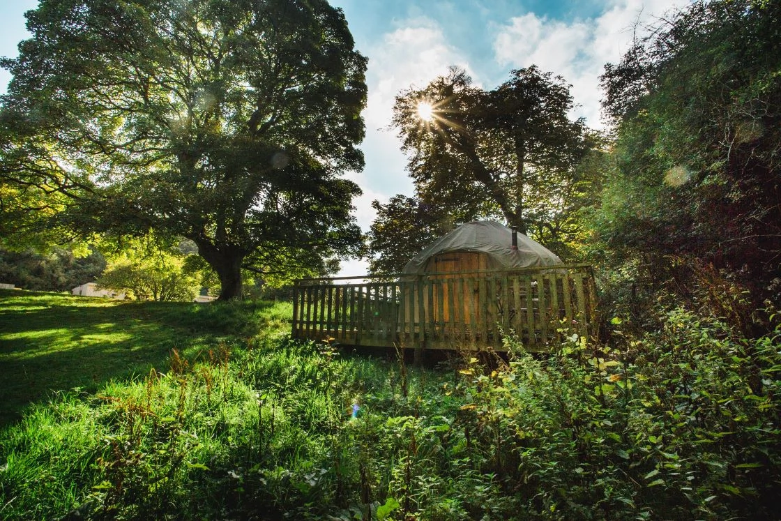 Yurt on wooden deck in lush woodland, sun filtering through trees, peaceful glamping scene in nature.