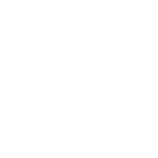 bigstyle-logo-white