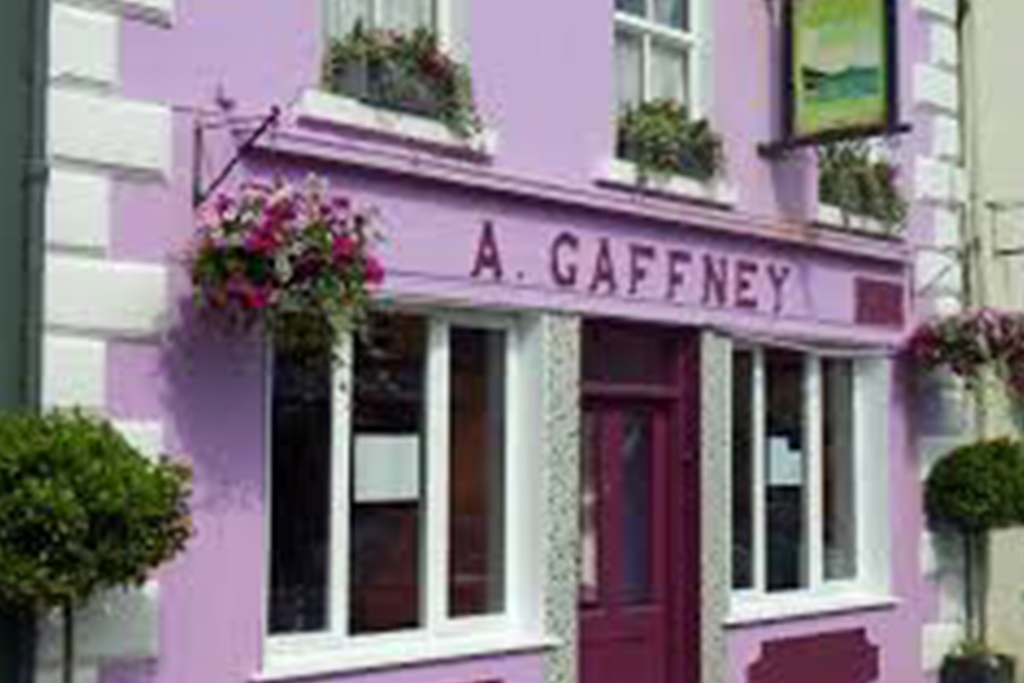 Purple Irish pub with hanging baskets and floral display outside.